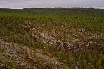 Obraz premium Aerial view of forest at Ovre Pasvik National Park with tree reflectios on surface on a cloudy spring day, Norway.