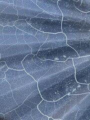 Abstract burn pattern from dustbin lid