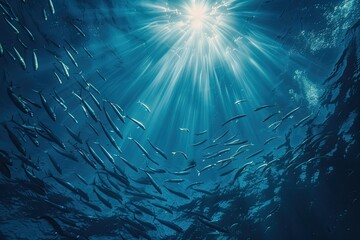 Fish in the ocean. A large school of fish swim in circles in the ocean.