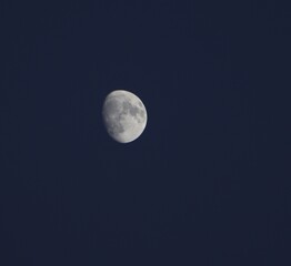 Photo of the uncompleted moon in the almost dark sky.
