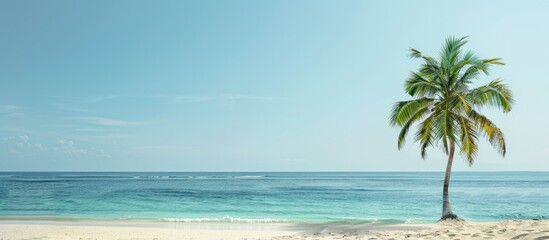 Fototapeta premium Tropical beach with a palm tree offers a serene setting with a copy space image
