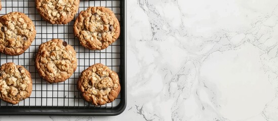 Tray with tasty freshly baked oatmeal cookies with copy space image