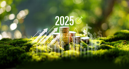 Money Growth and Environment 2025, Silver Coins Stack in Nature