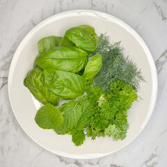 Basil, dill and parsley freshly picked and on a plate