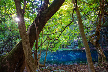 エメラルドグリーンに輝く透き通った池