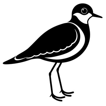 recommend clip art: set of plover silhouette vector bird black animal