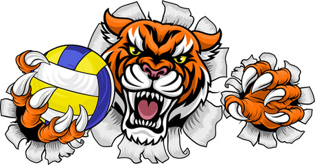 Tiger Volleyball Volley Ball Animal Sports Mascot