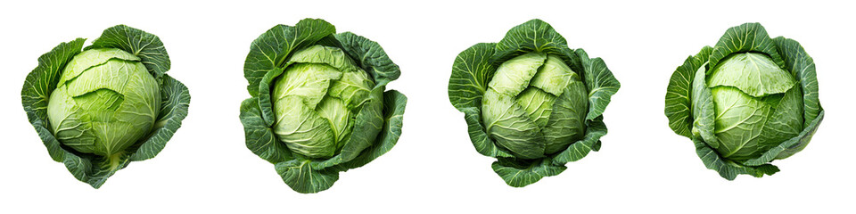 set of A Isolated head of cabbage on a transparent background