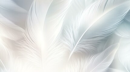 Delicate white feathers blend seamlessly against a soft, pastel background, creating a serene and tranquil atmosphere.
