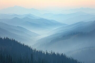 Fototapeta premium Scenic view of Carpathian forest and sky in Ukraine.