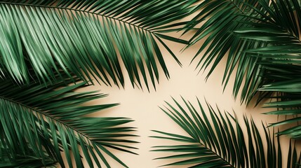 Fototapeta premium A close-up view of lush green palm leaves against a soft beige background, perfect for tropical themes and nature designs.