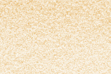 Short Grain Rice Texture Background