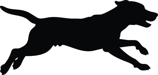 Dog Silhouette, Running Dog Vector, Playful Dog Silhouette SVG