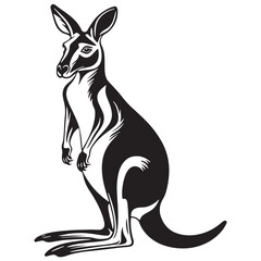 Kangaroo Silhouettes and Illustrations, A Complete Collection