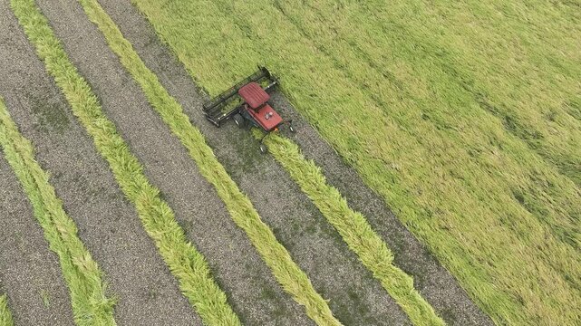 Overhead view of a windrower going away from the camera