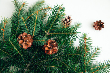 New Year, Christmas background. Branches of a green Christmas tree on a grey concrete background. Top view