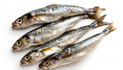 Obraz premium Tasty canned sprats isolated on white, top view
