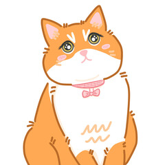 Sophie cat so cute 05