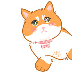 Sophie cat so cute 04