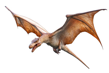 Obraz premium Pterodactyl on transparent background