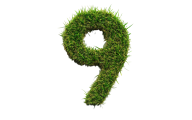 Grass number Nine isolated on white or transparent background