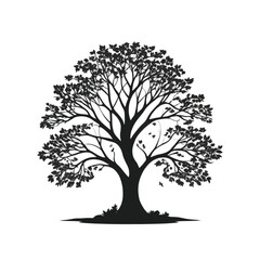 Silhouette of a large tree with leaves falling.