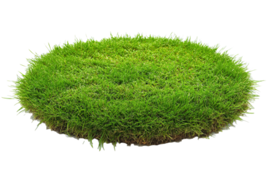 Grass green circle land ground isolated on white or transparent background