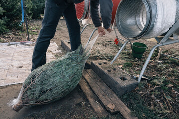 Unrecognizable person finishing wrapping a Christmas tree at a Christmas market