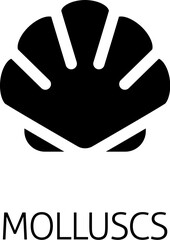 A seashell shell clam mollusc food stylised icon. Possibly an icon for the allergen or allergy or a seafood concept.