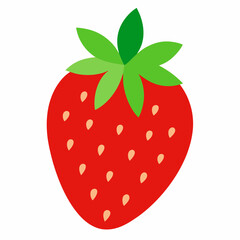 Fototapeta premium strawberry