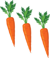 set of carrots