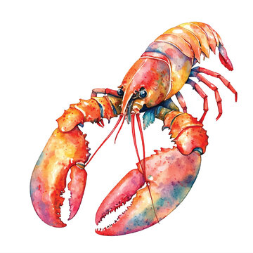 recommend clip art: Lobster watercolor clipart illustration isolated