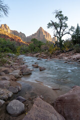 A beautiful view of the Virgin river and red rocks down in the Zion valley.