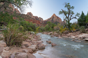 A beautiful view of the Virgin river and red rocks down in the Zion valley.