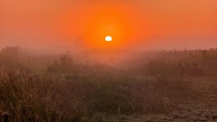 Beautiful sunrise landscape scenery at Clare river, County Galway, Ireland, nature sun background, misty dawn