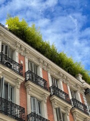 Fototapeta premium terrazas de madrid