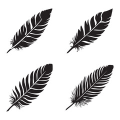 Bird feather silhouette set black color vector illustration