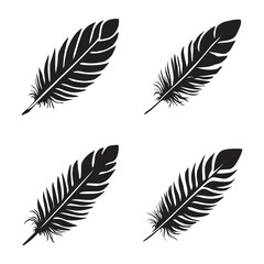 Obraz premium Bird feather silhouette set black color vector illustration