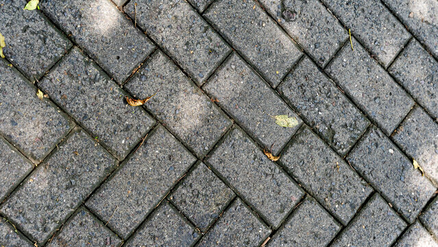 Fototapeta Paved brick pathway with scattered leaves