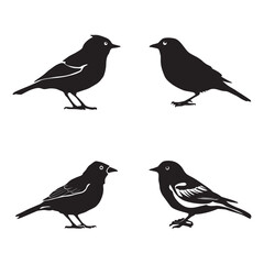 Bird silhouette set black color vector illustration
