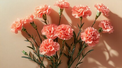 A bouquet of vibrant coral carnations arranged against a soft peach background during daylight
