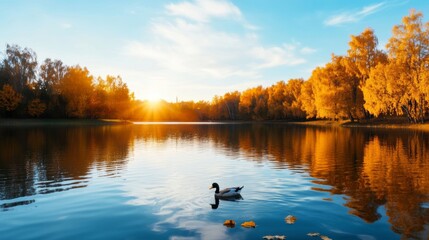 Obraz premium Sunlit autumn park scene with a calm lake, colorful reflections, and a few ducks swimming near the shore 