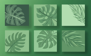 Set of six green leaf social media post templates on a light green background. Each template features different leaf designs in a minimalist, modern style. Concept of nature and botanical themes.