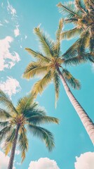 Fototapeta premium Coconut palm trees tropical vegetation taken from above with blue sky and clouds