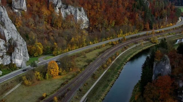 Aerial view of autumn trees on a sunny day in the Black Forest, Baar, Heuberg, Baden-W&uuml;rttemberg, Germany
