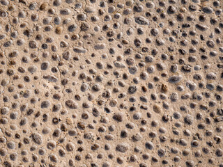 Pavement of river stone and concrete background. Abstract background with round pebbles stones.