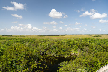 Fototapeta premium A nice view overlooking the green Everglades on a sunny day at Everglades NP.