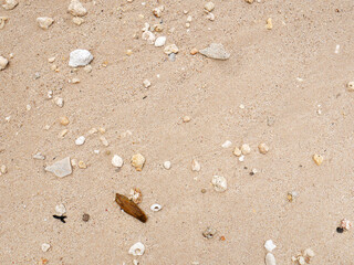 Fresh summer vibes on the sea shore paradise beach