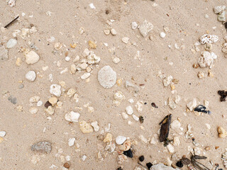 Fresh summer vibes on the sea shore paradise beach