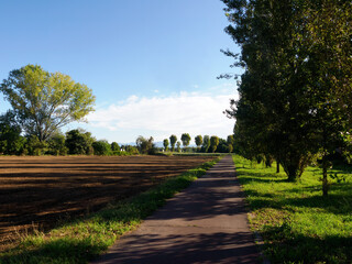Parco Grugnotorto, public park near Milan, Italy
